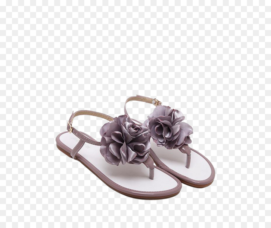 Flip Flops，Moda PNG