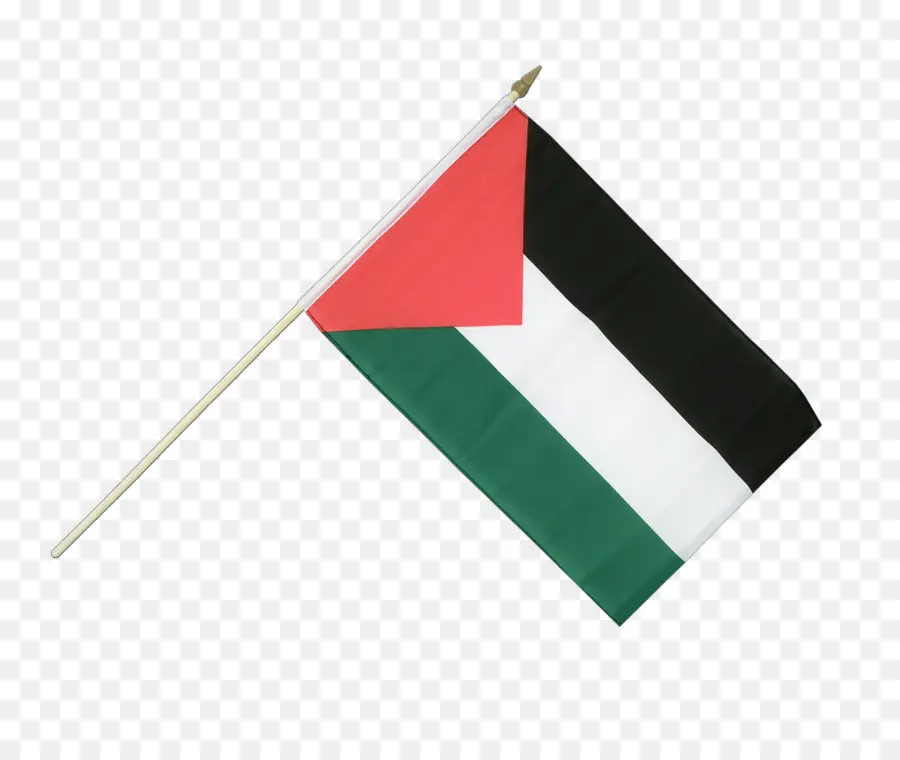 Bandeira，Bandeira Da Palestina PNG