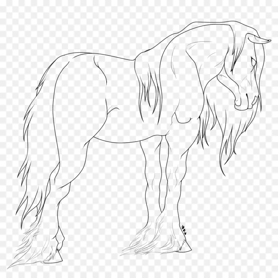 Cavalo，Equino PNG