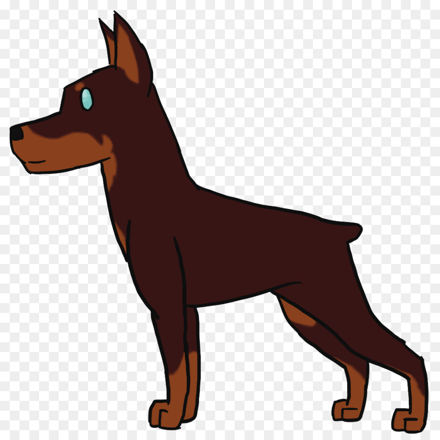 Lancashire Heeler，Pinscher Miniatura PNG