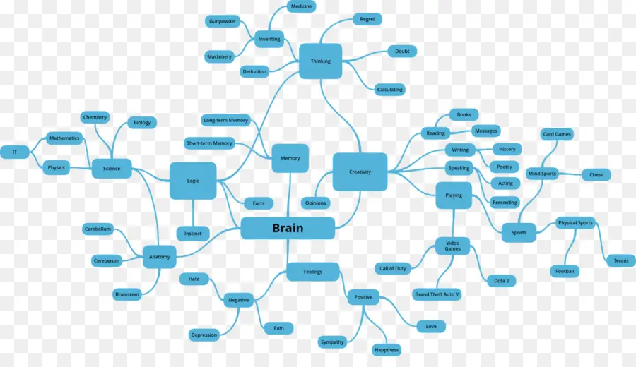 Mapa Mental，Cérebro PNG