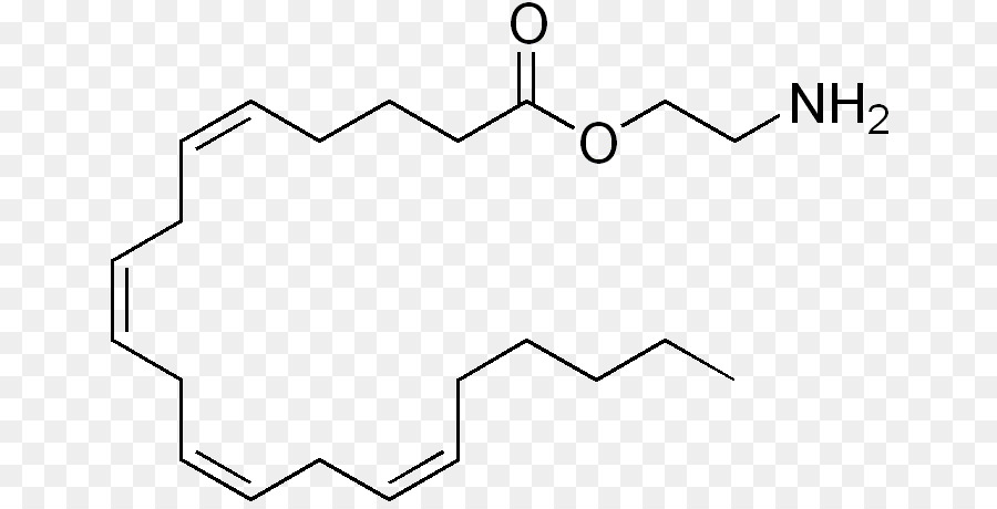 Estrutura Química，Molécula PNG