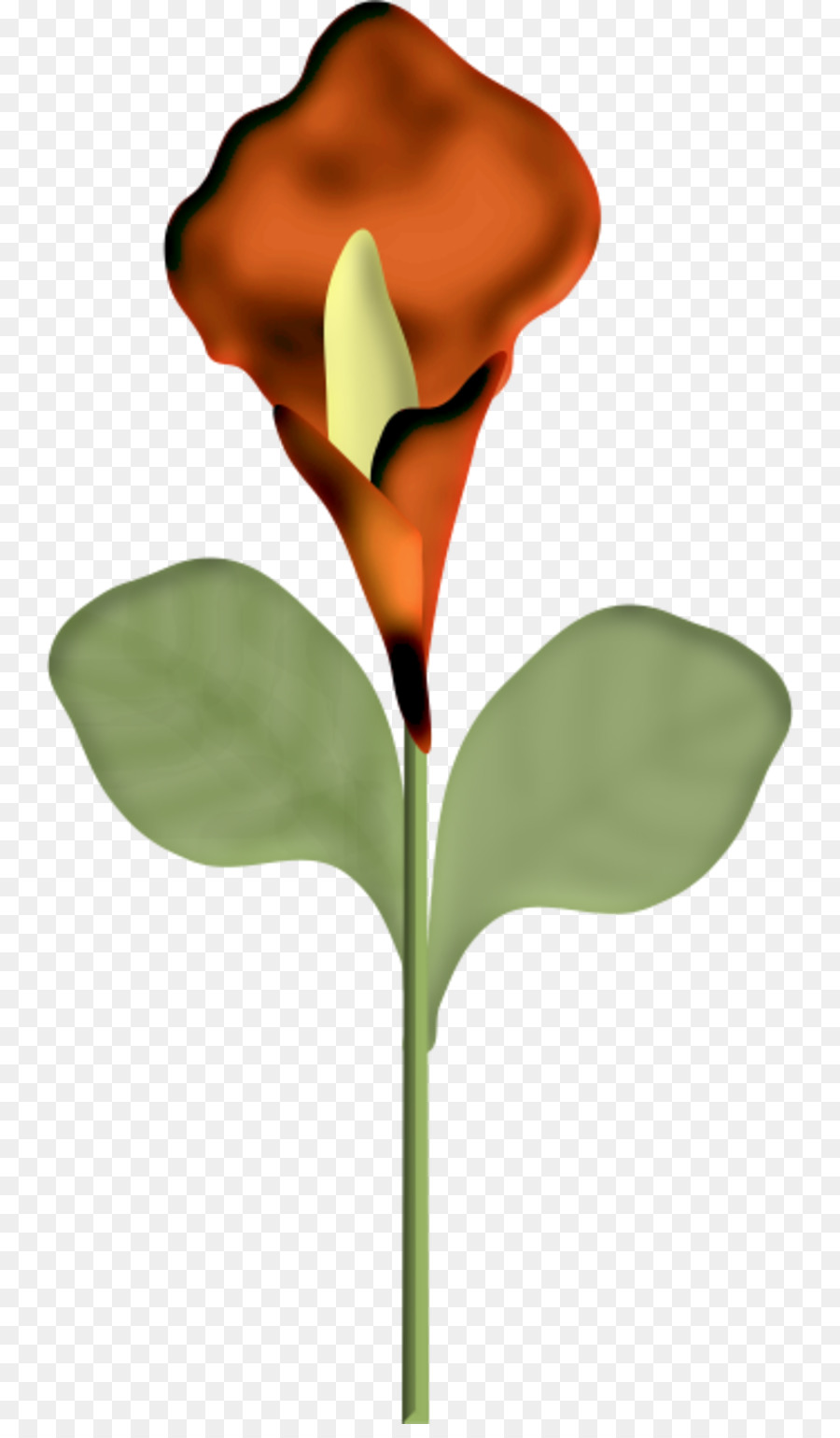 Flor Vermelha，Plantar PNG