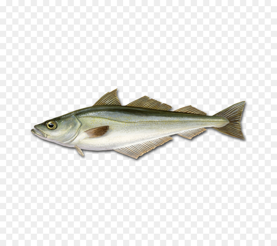 Peixe，Frutos Do Mar PNG