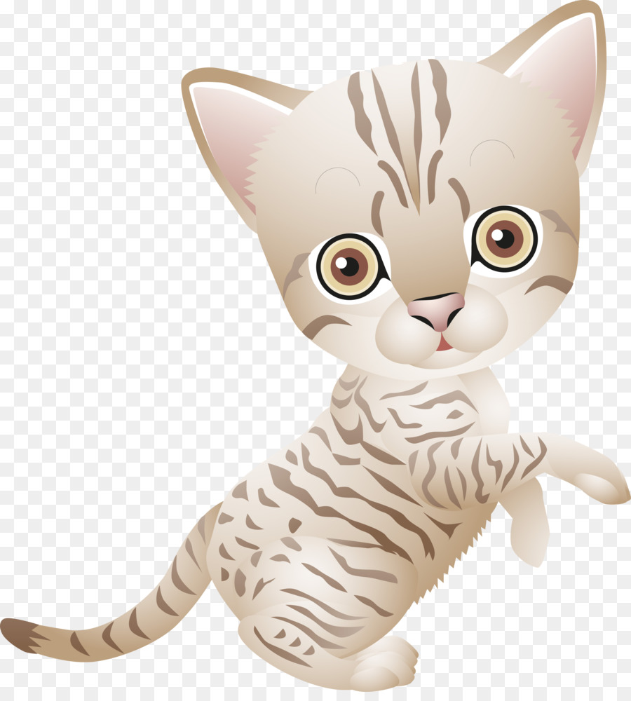 Gato De Desenho Animado，Bonitinho PNG