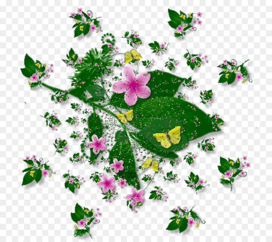 Flor，Ping PNG