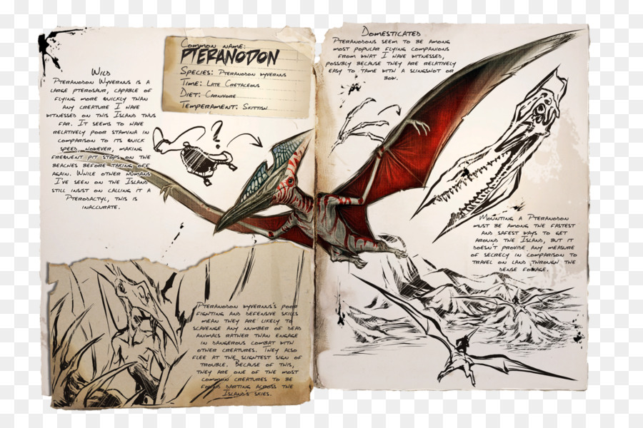 Pteranodon，Arca De Sobrevivência Evoluiu PNG