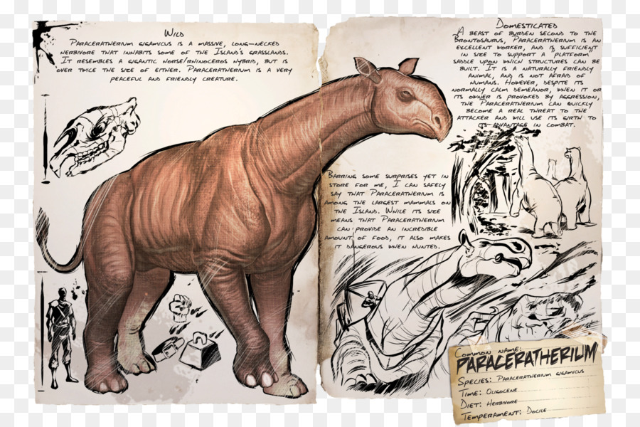 Arca De Sobrevivência Evoluiu，Giganotosaurus PNG