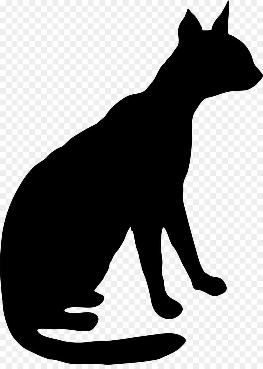 Silhueta De Gato Preto，Felino PNG