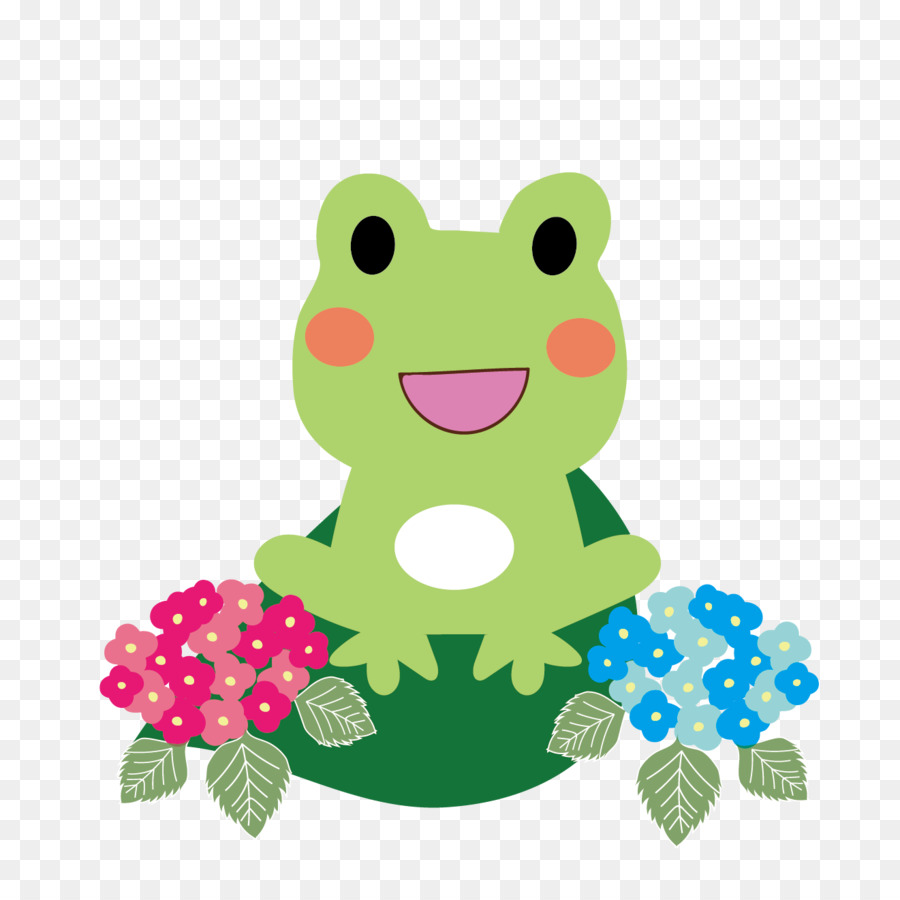 Sapo，Verde PNG