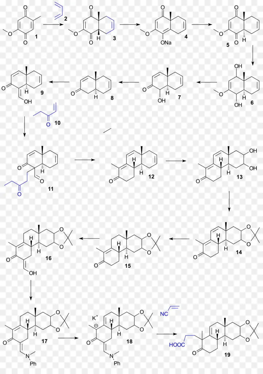 Síntese Química，O Colesterol PNG