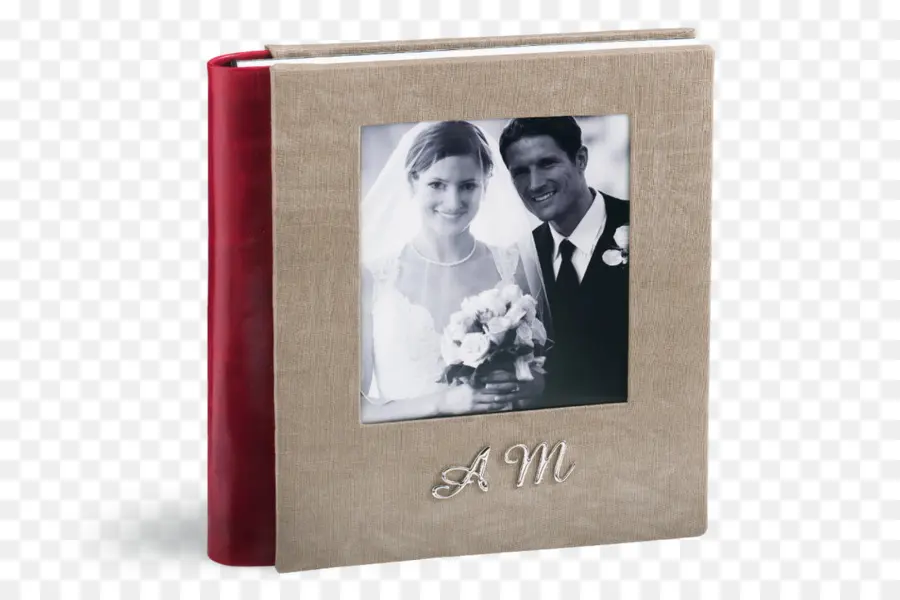 Álbum De Fotos De Casamento，Casado PNG