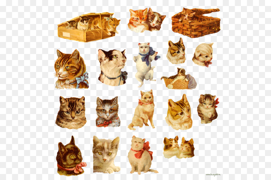 Gatos，Gatinhos PNG