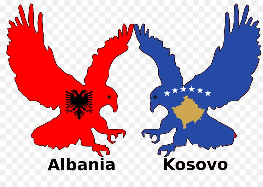 Bandeiras Da Albânia E Do Kosovo，Águia PNG