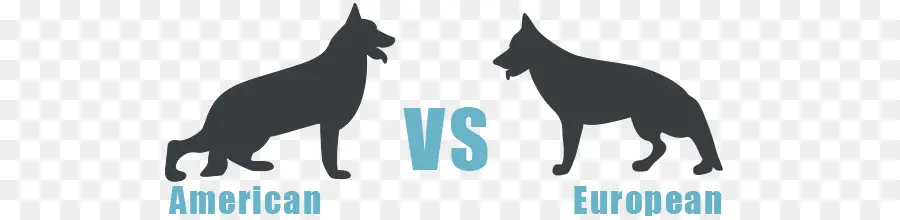 Comparação De Cães，Americano PNG