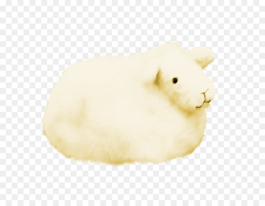 Coelhos，Pele PNG