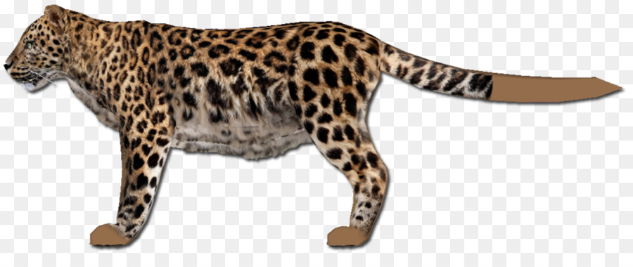 Jaguar，Selvagem PNG