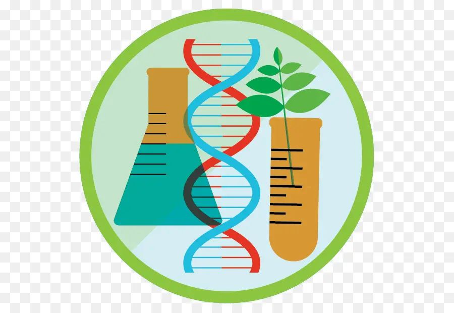 Biotecnologia，A Engenharia Genética PNG