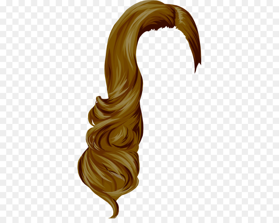 Cabelo Castanho，Penteado PNG