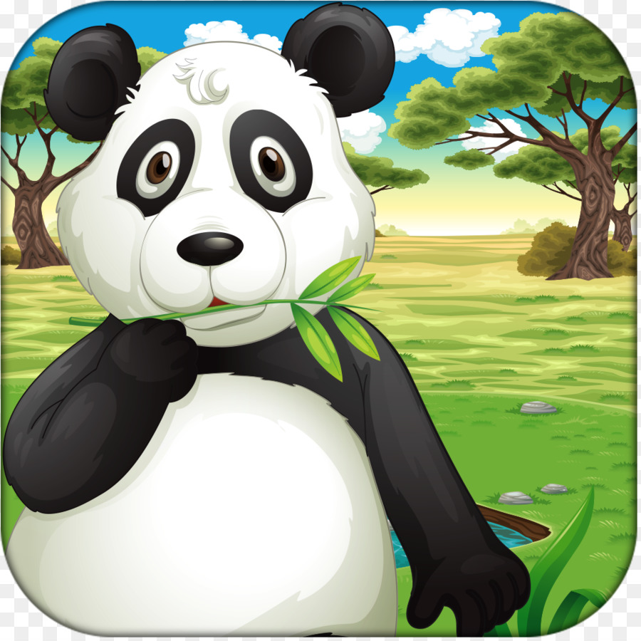 Panda Gigante，Urso PNG