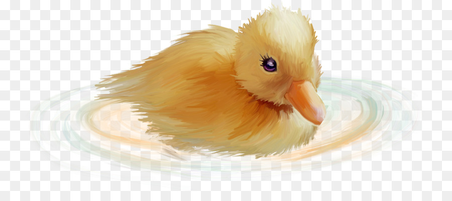 Patinho Amarelo，Pato PNG