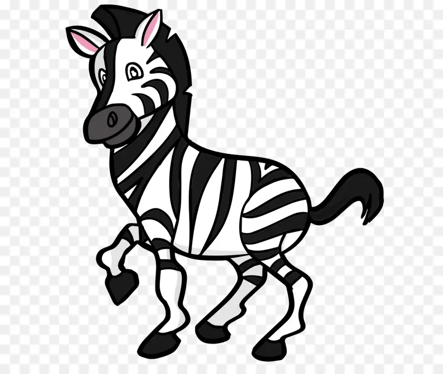 Zebra，Fofura PNG