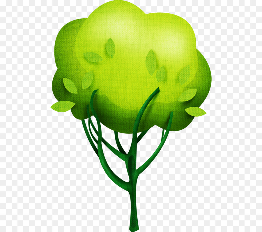 árvore，Apple PNG