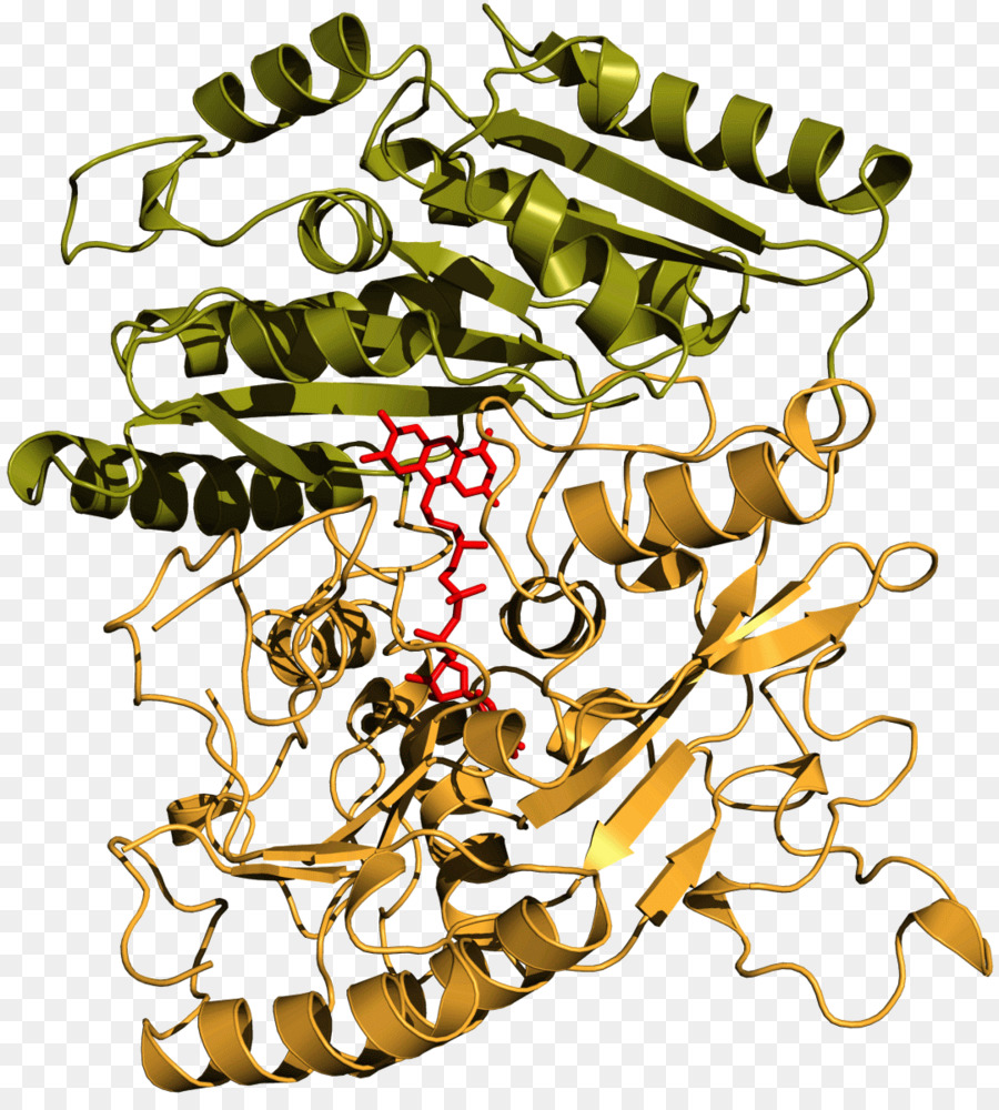 Vanillylalcohol Oxidase，Oxidase PNG