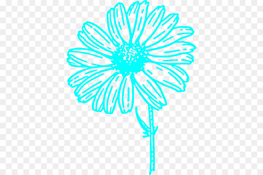 Comum Daisy，Desenho PNG