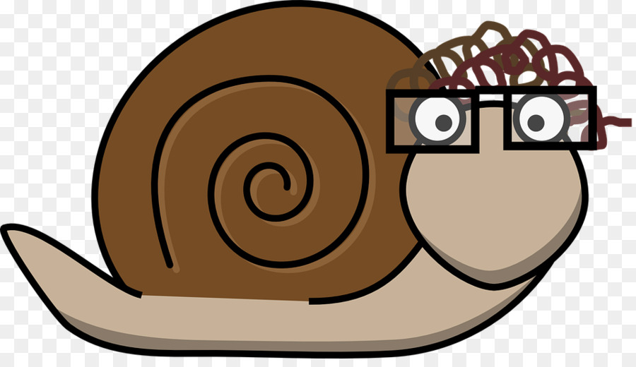 Caracol，Gastrópode Shell PNG