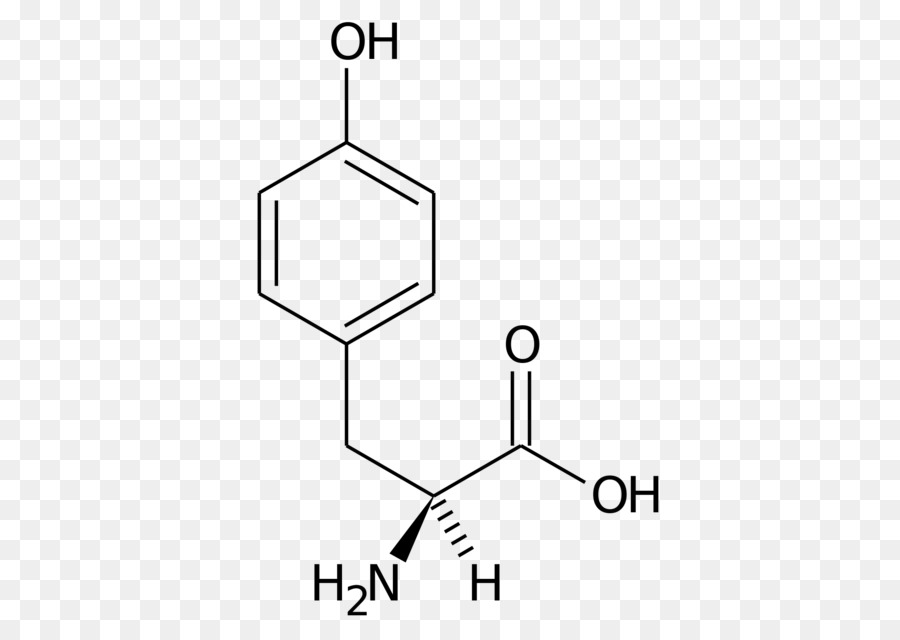 Estrutura Química，Molécula PNG