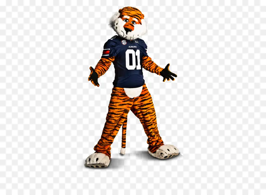 Universidade Auburn，Auburn Tigers Futebol PNG