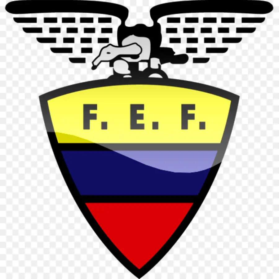 Equador Equipa Nacional De Futebol，Equador PNG