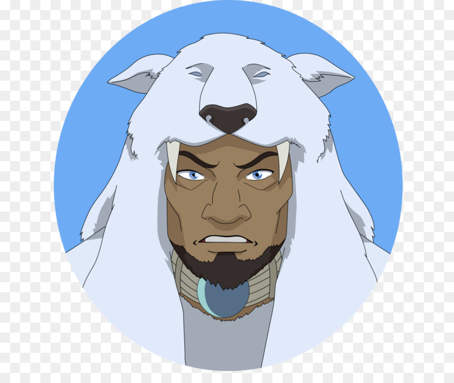 Avatar The Last Airbender，Korra PNG