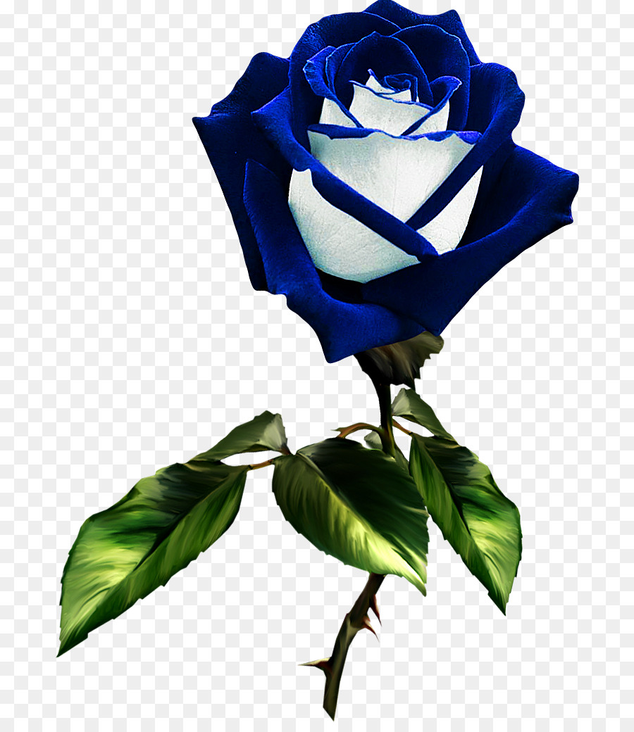 As Rosas Do Jardim, Rosa Azul, Azul png transparente grátis