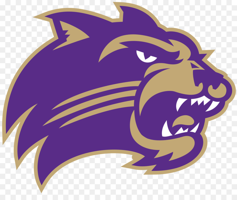 Western Carolina University，Western Carolina Catamounts Basquete Feminino PNG