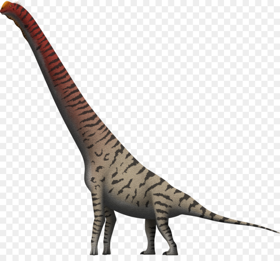 Giraffatitan，Rhamphorhynchus PNG