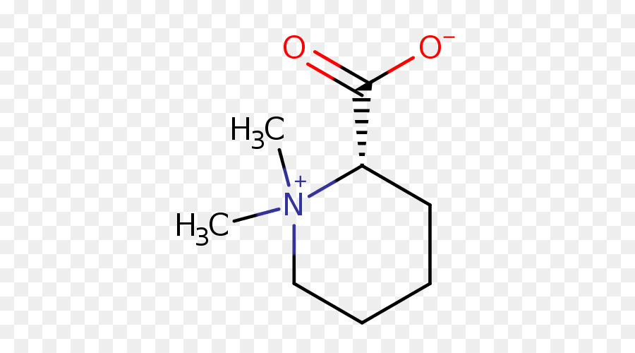 Estrutura Química，Molécula PNG