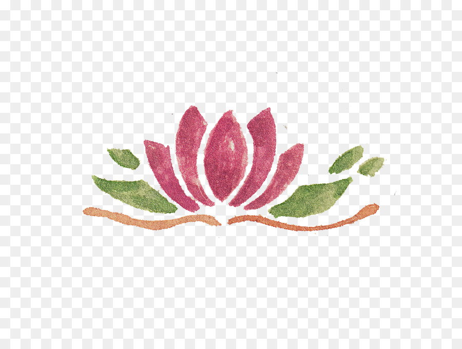 Flor De Lótus，Lótus PNG