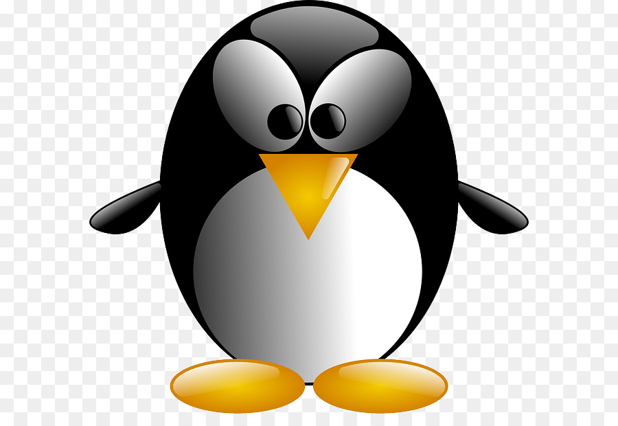 Penguin，Aves PNG