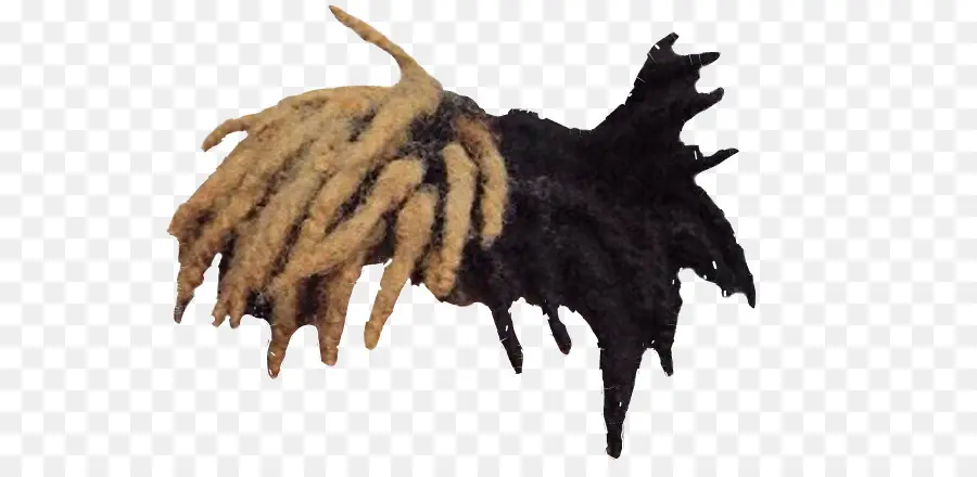 Dreadlocks，Cabelo PNG