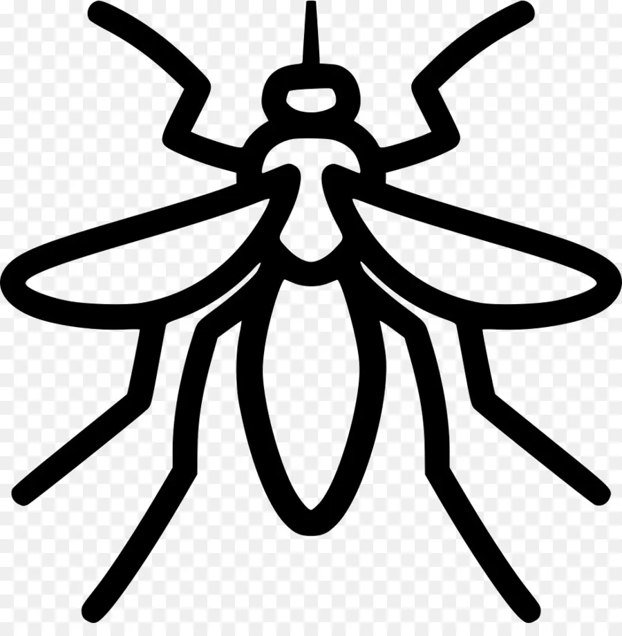 Contorno Do Mosquito，Mosquito PNG