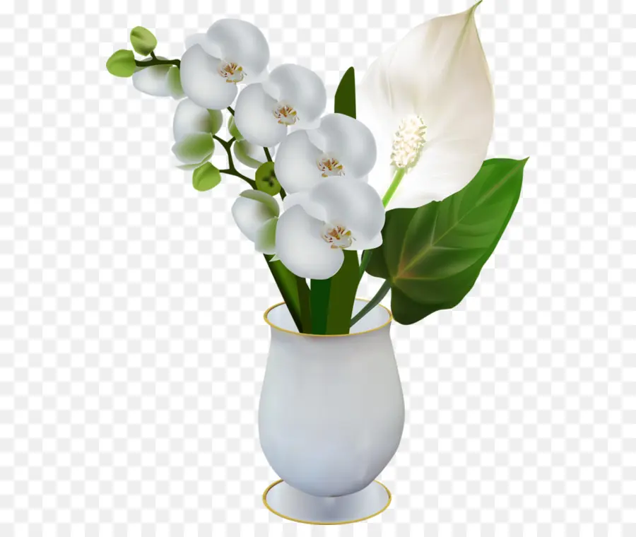 Flor，Traça Orquídeas PNG