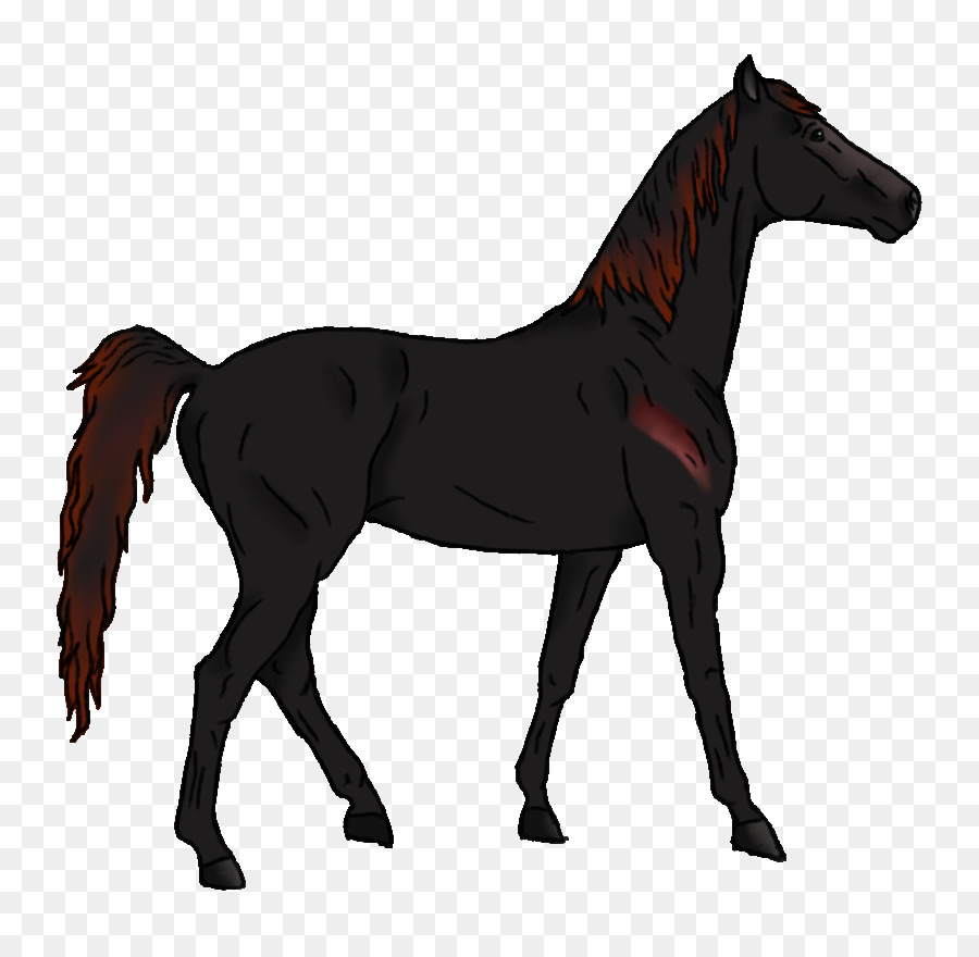 Mustang，De Pônei PNG