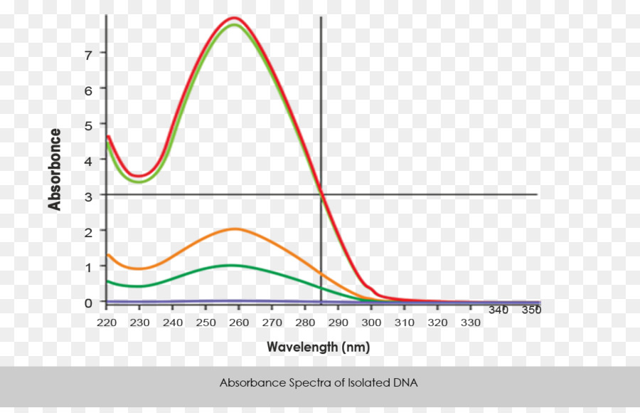 Extração De Dna，Biblioteca Gcc PNG