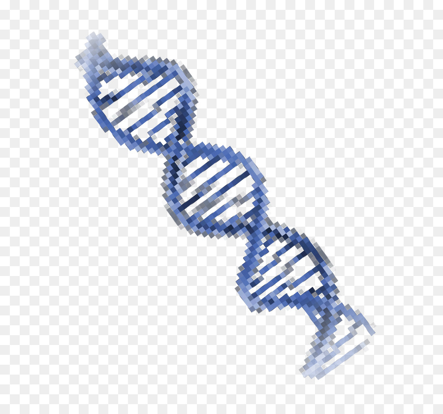 Hélice De Dna，Genética PNG