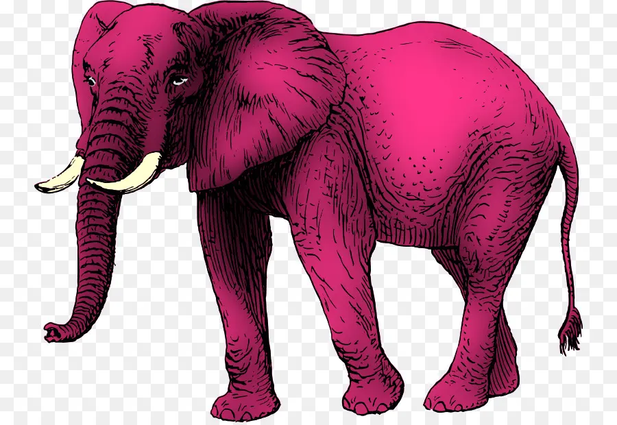 Elefante Rosa，Grande PNG