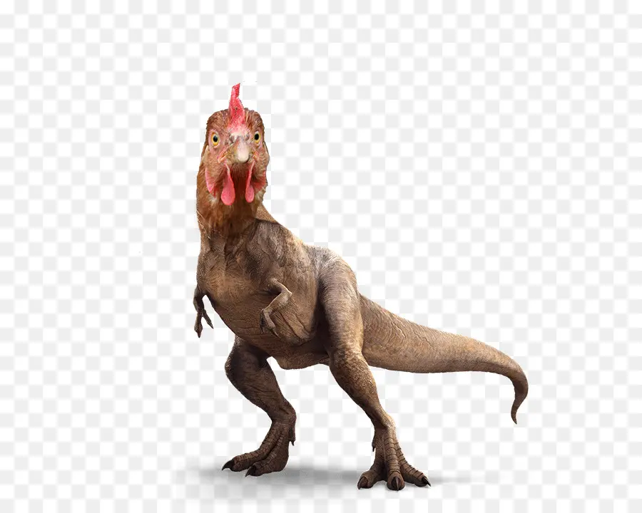 Dinossauro，Frango PNG