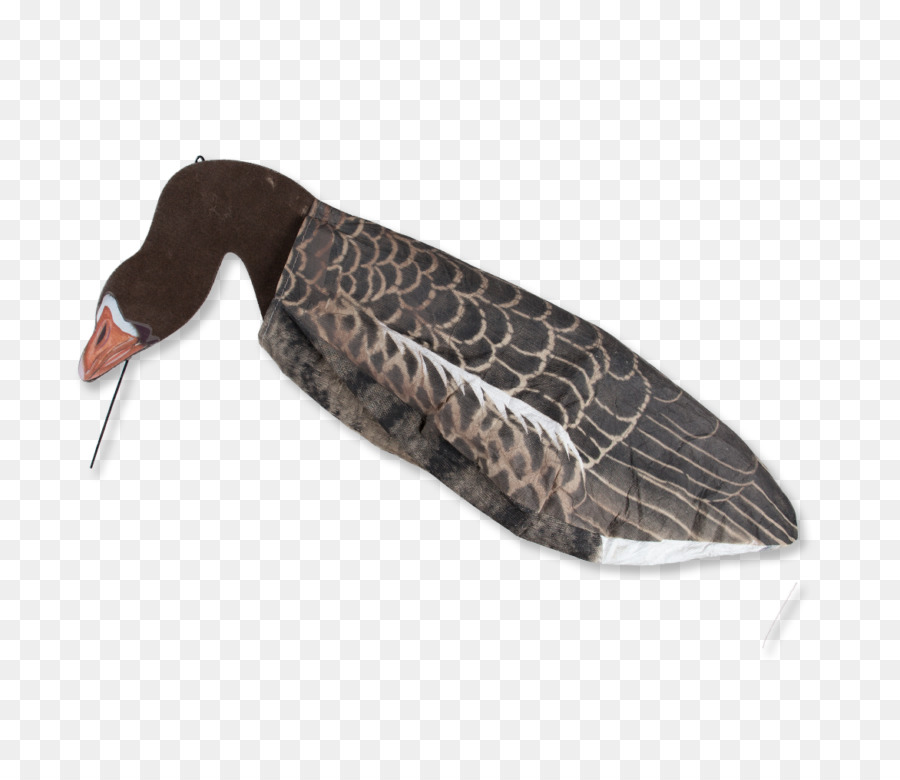 Pato，Ganso PNG