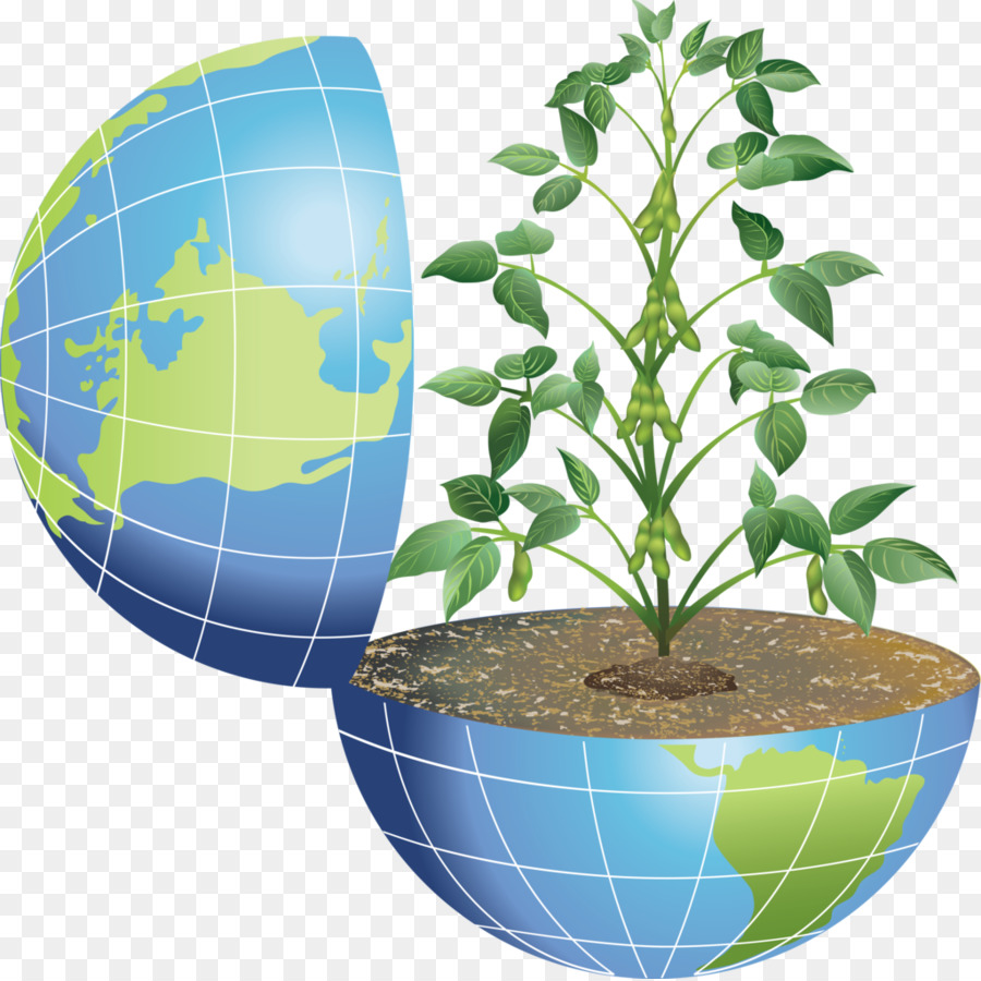 Terra Com Planta，Globo PNG